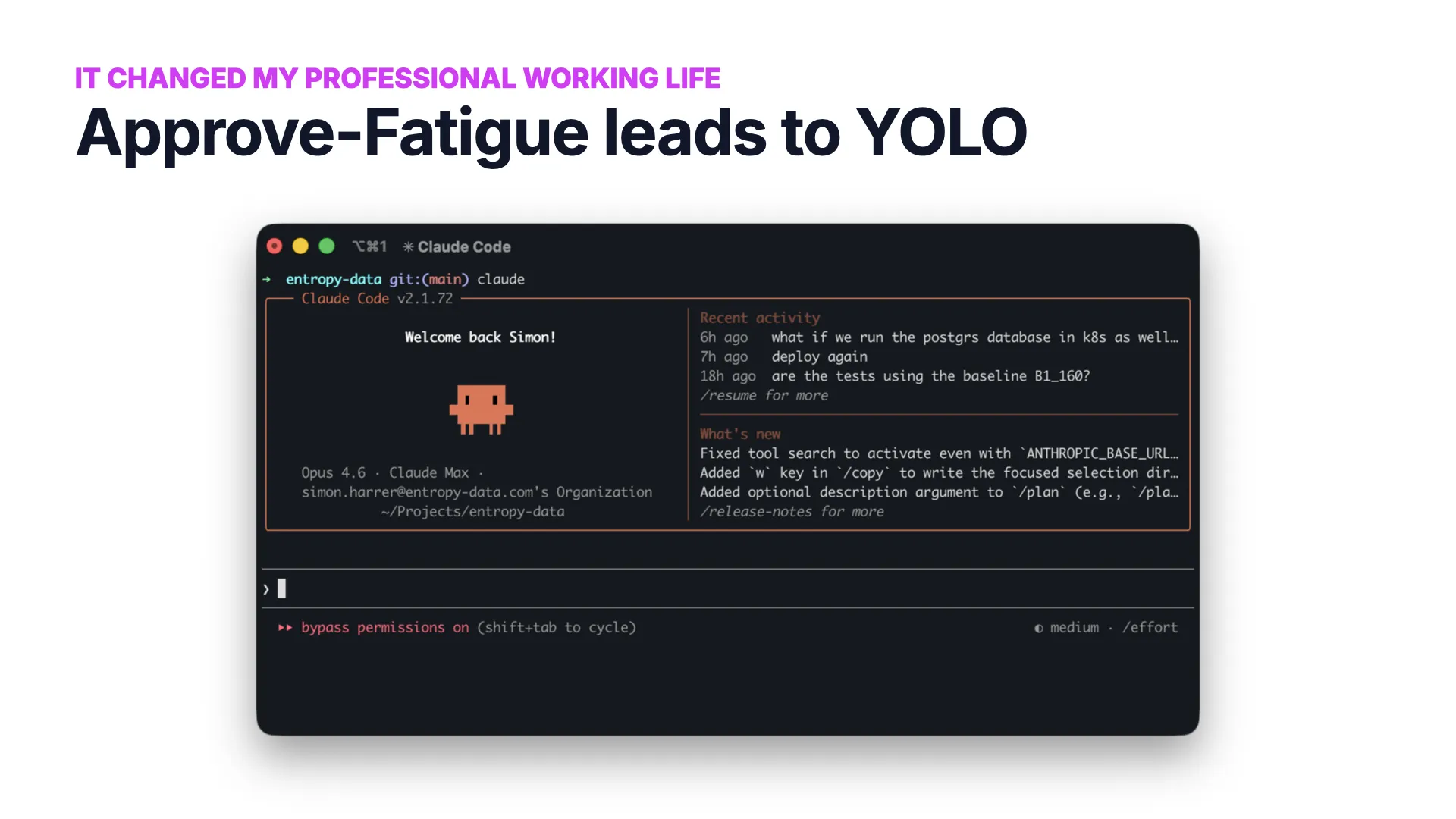 Slide 15: YOLO-Modus