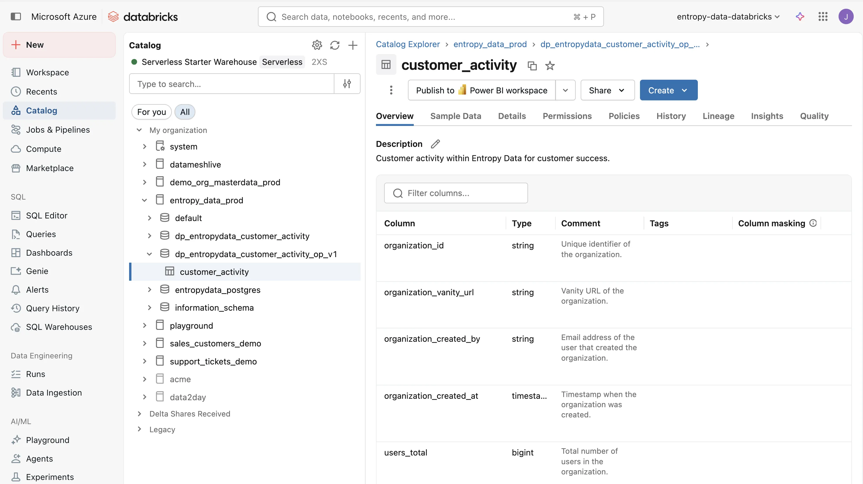 La table customer_activity matérialisée dans Databricks, avec des colonnes comme organization_id, organization_vanity_url et users_total.